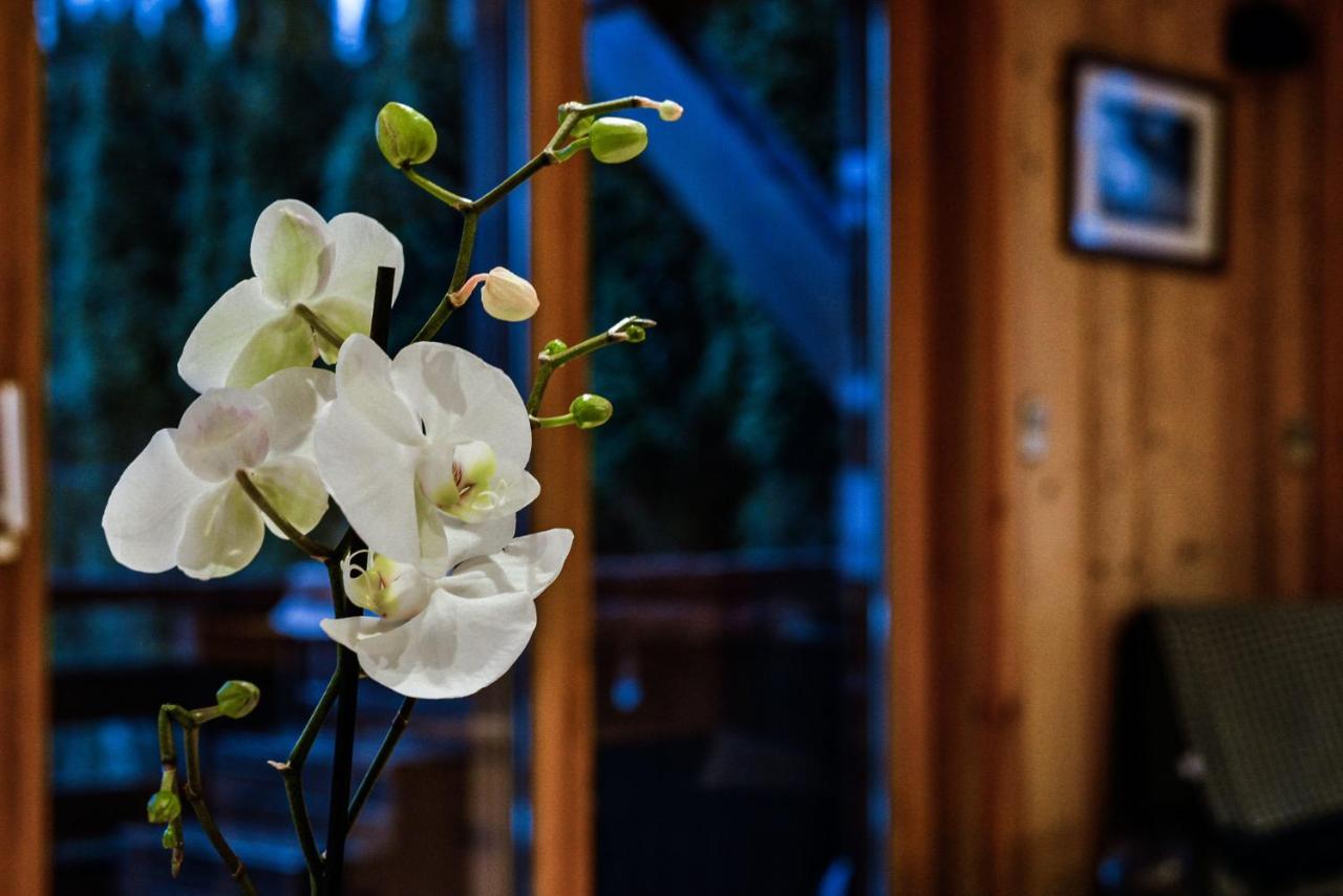 Yeti Lodge Rooms อาร์ฌองติแยร์ ภายนอก รูปภาพ